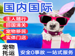 萨尔图航空邮寄国际宠物托运 【国